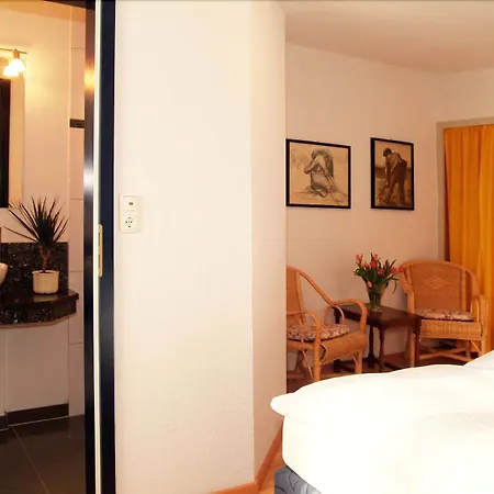 Schwarzes Ross Hotel Steinsfeld