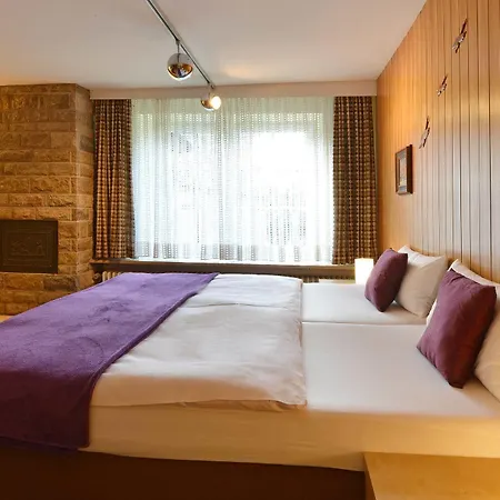 Hotel Schwarzes Ross 3*