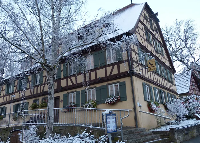 Schwarzes Ross 호텔 3*